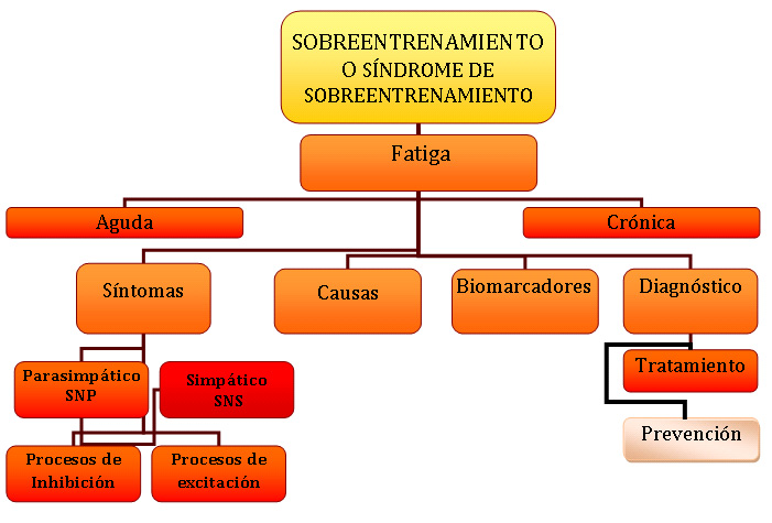 Sobreentrenamiento