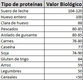 valor biológico proteínas